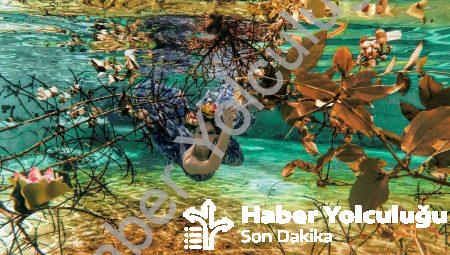 Orta Parmak İskelet El SVG ile Sokak Modasında Öne Çıkın