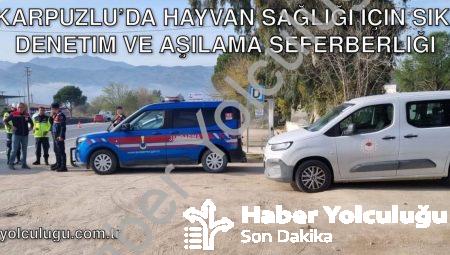 Karpuzlu’da Hayvan Sağlığı İçin Sıkı Denetim ve Aşılama Seferberliği