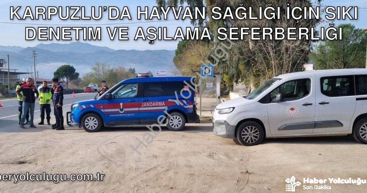 "Karpuzlu’da Hayvan Sağlığı İçin Sıkı Denetim ve Aşılama Seferberliği" başlıklı haber için fotoreali