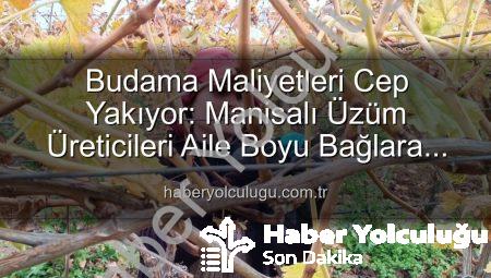 Budama Maliyetleri Cep Yakıyor: Manisalı Üzüm Üreticileri Aile Boyu Bağlara İndi