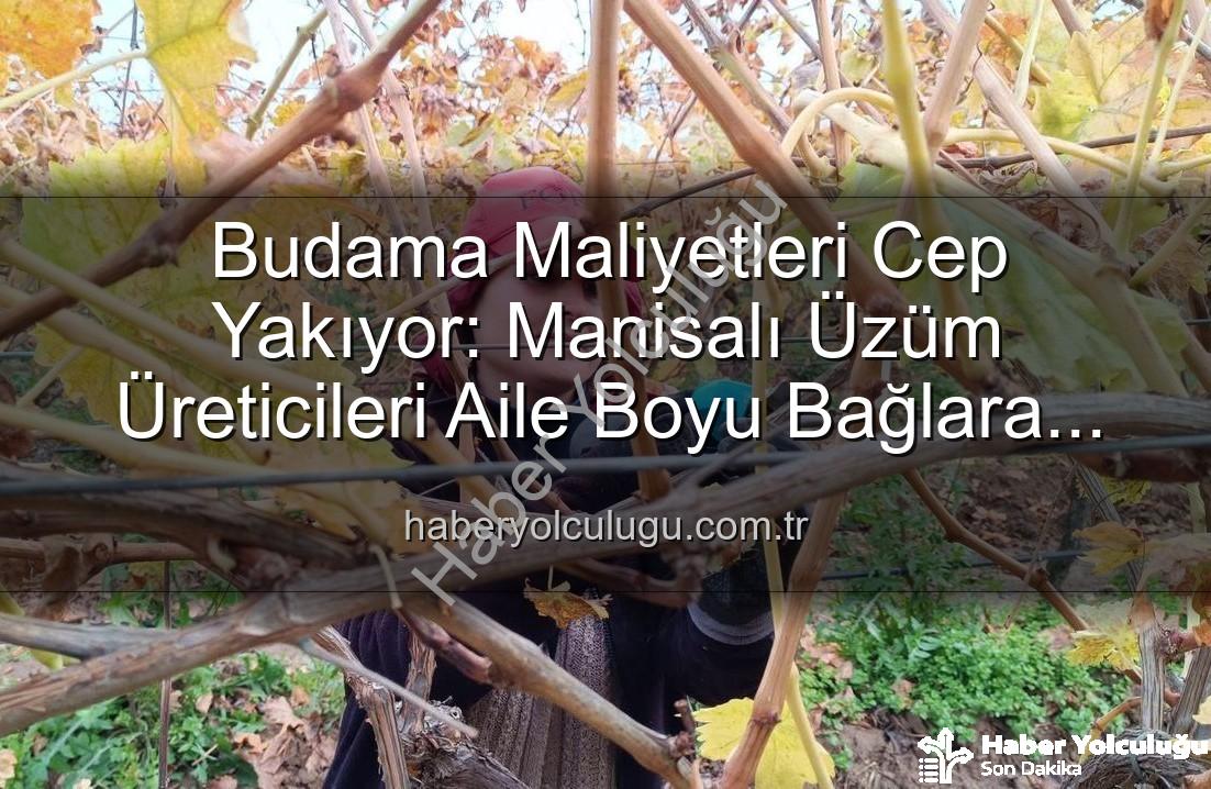 budama maliyeti - Budama Maliyetleri Cep Yakıyor: Manisalı Üzüm Üreticileri Aile Boyu Bağlara İndi