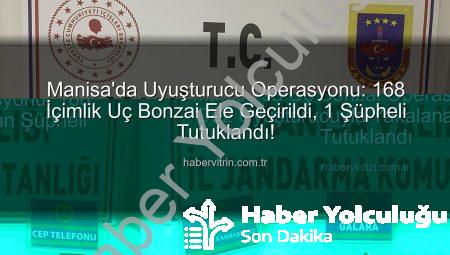 Manisa’da Uç Bonzai Operasyonu: 168 Doz Uyuşturucu Ele Geçirildi, Şüpheli Tutuklandı