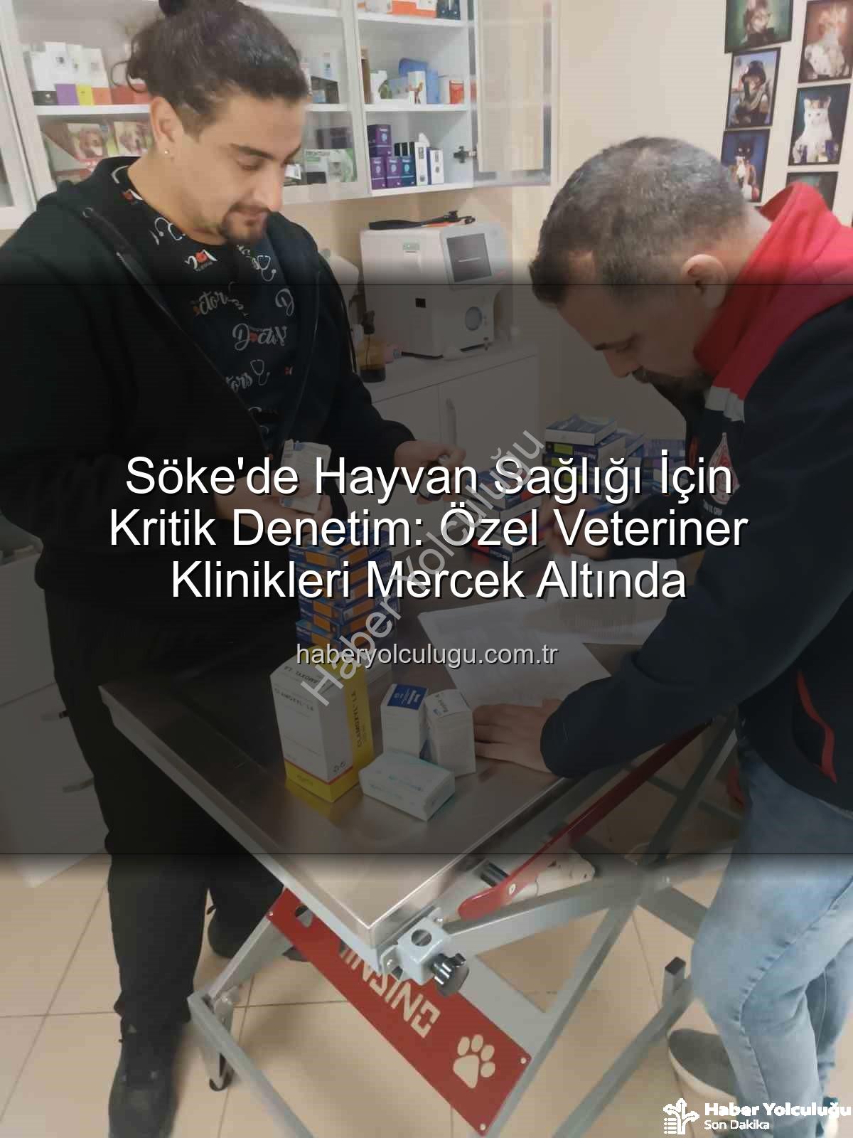 Söke veteriner denetimi - Söke'de Hayvan Sağlığı İçin Kritik Denetim: Özel Veteriner Klinikleri Mercek Altında