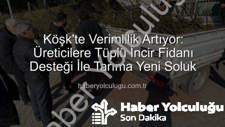 Köşk’te Verimlilik Artıyor: Üreticilere Tüplü İncir Fidanı Desteği İle Tarıma Yeni Soluk