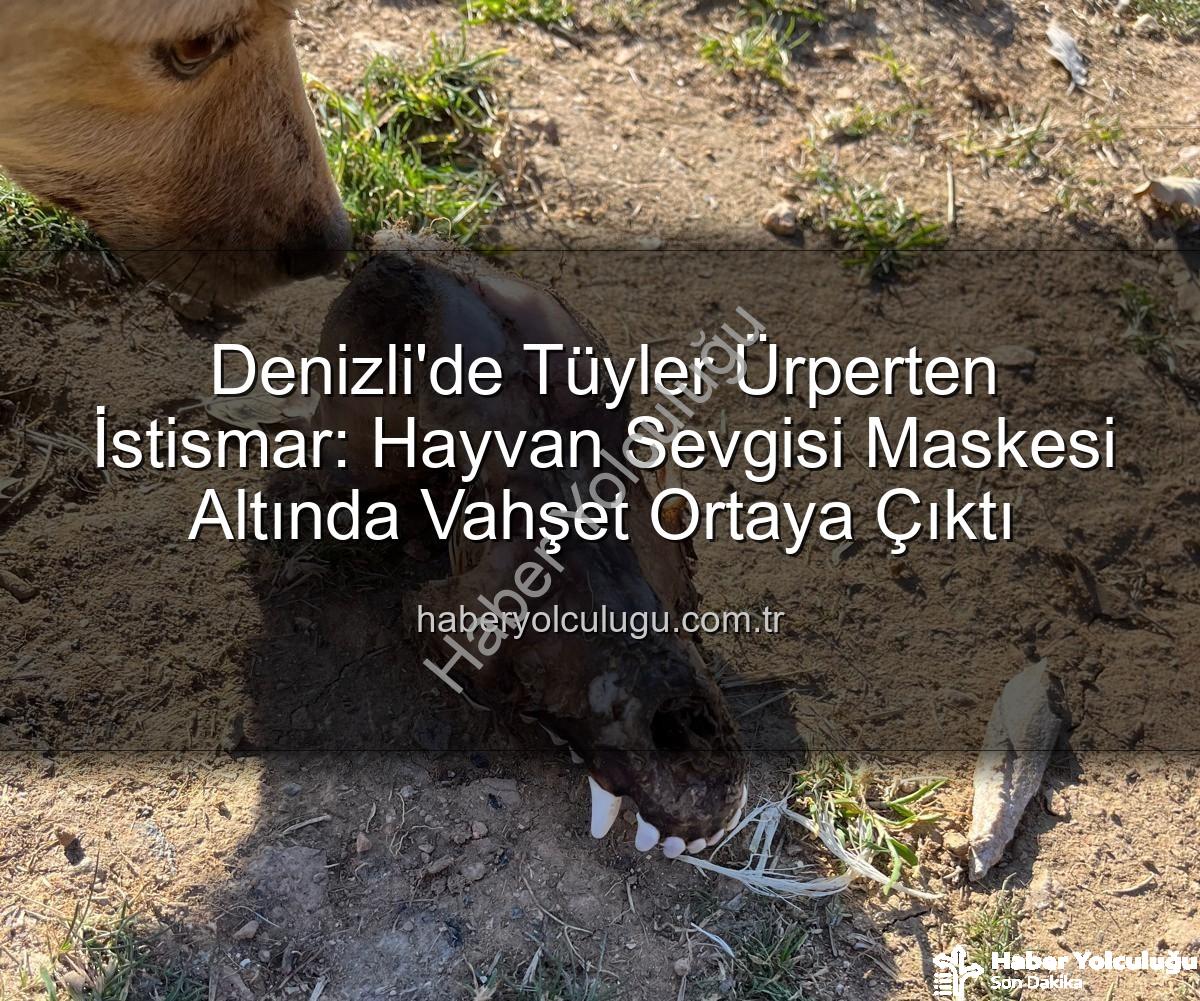hayvan istismarı - Denizli'de Tüyler Ürperten İstismar: Hayvan Sevgisi Maskesi Altında Vahşet Ortaya Çıktı