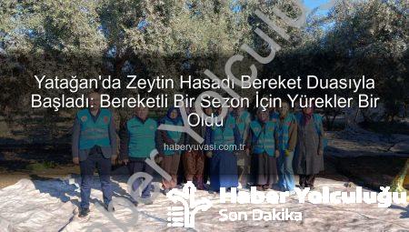 Yatağan’da Zeytin Bereketine Dualarla Başlangıç: İlçe Müftülüğü’nden Anlamlı Hasat Programı