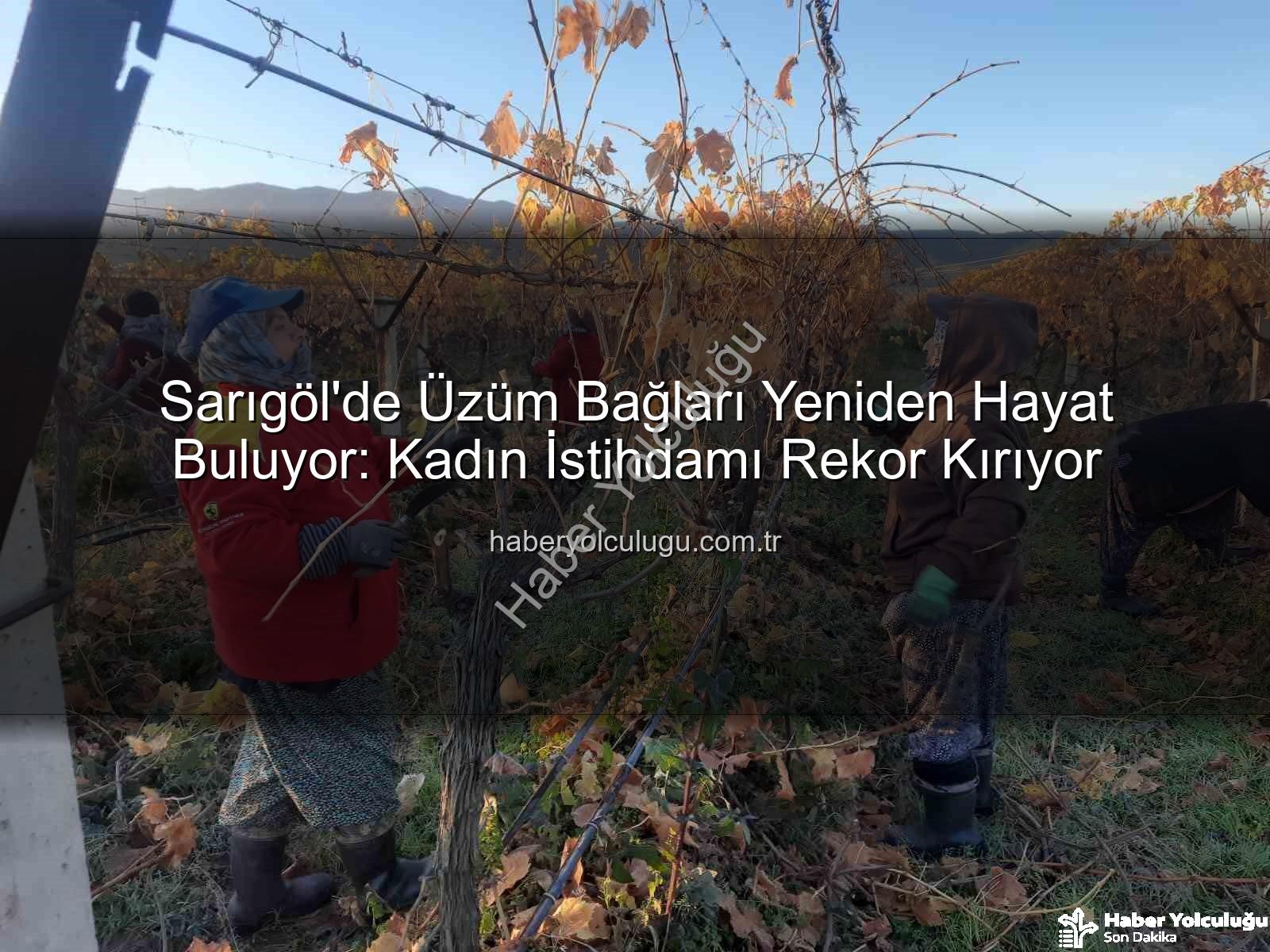 kadın istihdamı - Sarıgöl'de Üzüm Bağları Yeniden Hayat Buluyor: Kadın İstihdamı Rekor Kırıyor