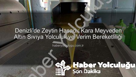 Denizli’de Zeytin Hasadı: Kara Meyveden Altın Sıvıya Yolculuk ve Verim Bereketliliği