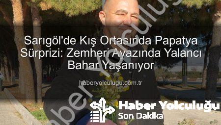 Sarıgöl’de Kış Ortasında Papatya Sürprizi: Zemheri Ayazında Yalancı Bahar Yaşanıyor